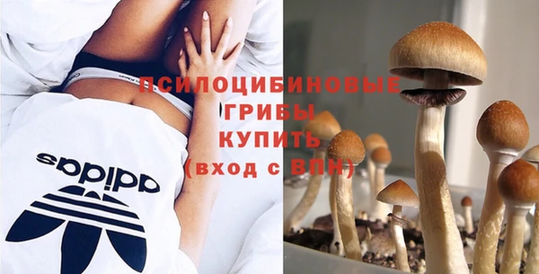 кокаин колумбия Богданович